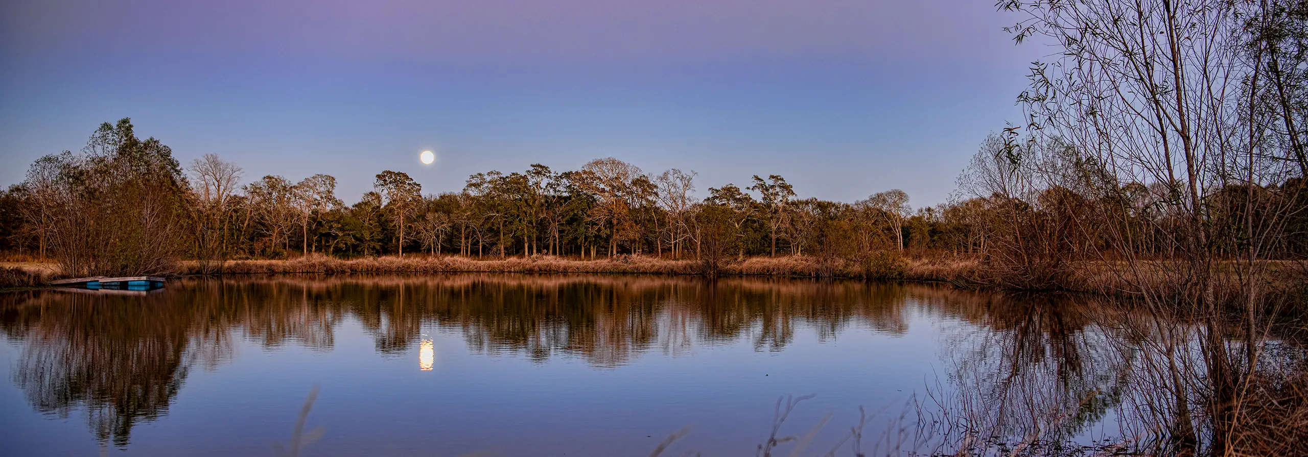 Moonrise reflected in small pond in early December in South Central Louisiana